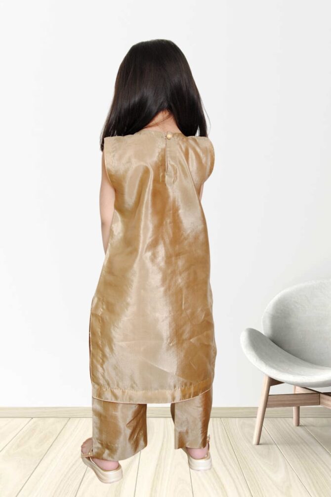 Golden Raw Silk Dress - Image 3